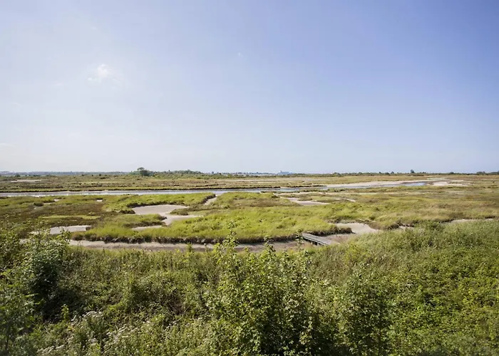 2 Avec Double Terrasse à - Fr-1-788-96 Apartamento Merville-Franceville-Plage