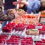 2 Avec Double Terrasse A - Fr-1-788-96 * Merville-Franceville-Plage